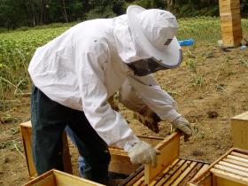 chez Rémy et Bénédicte en août 2006